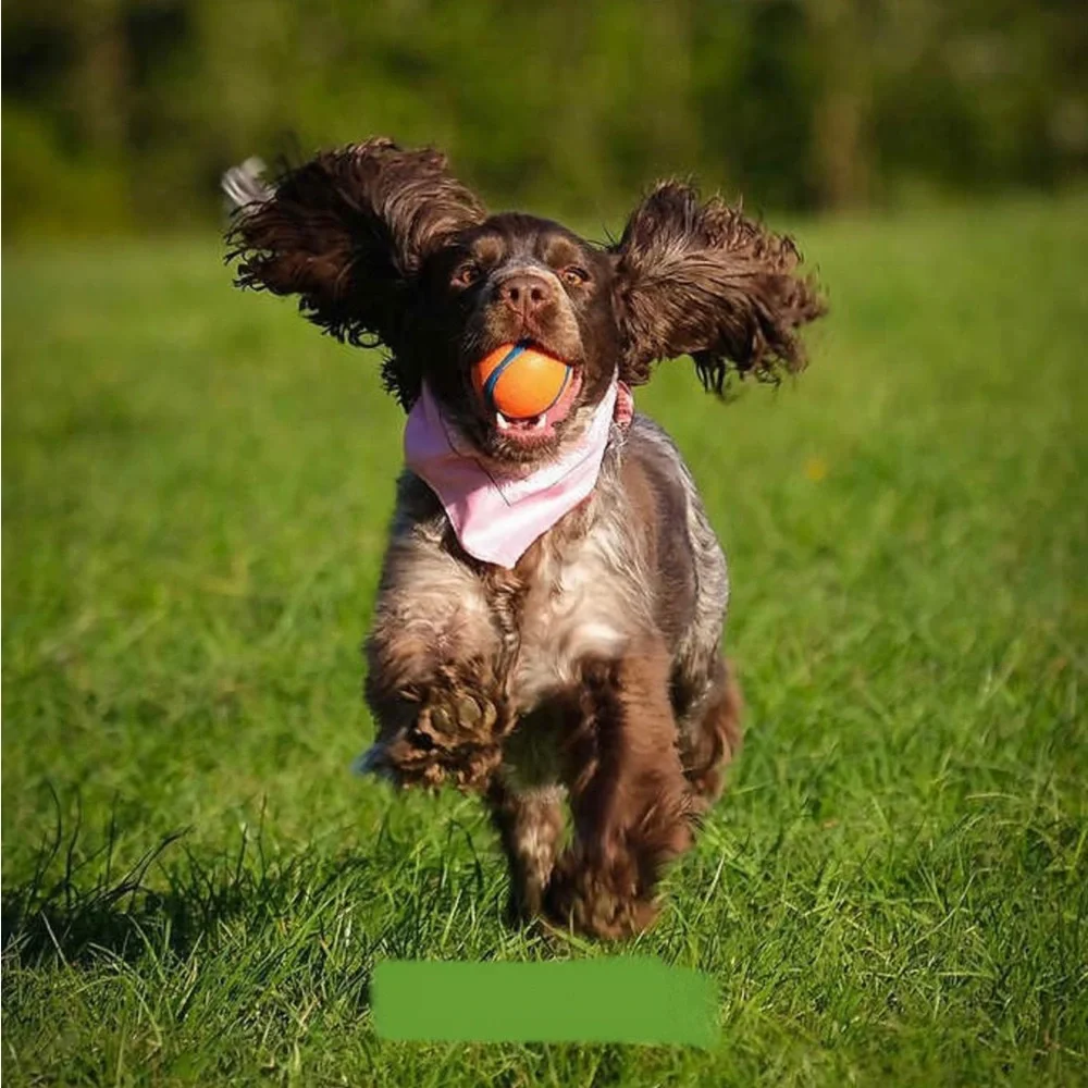 Chuckit nwt launcher